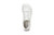 Dillon Leather Sneakers - Women Dillon Leather Sneakers - Women