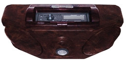 Weather Resistant Stereo Console Roof Mount Golf Cart King