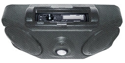 Roof Mount Stereo Console Dome Light Carbon Fiber Golf Cart King