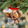 Personalized pet photo ornament