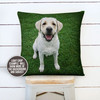 Personalized pet photo dog cat throw pillowcase pillow