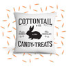 Easter bunnies cottontail candy & treats throw pillowcase pillow