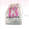 Thirteenth birthday eras party taylor inspired personalized party favor bag