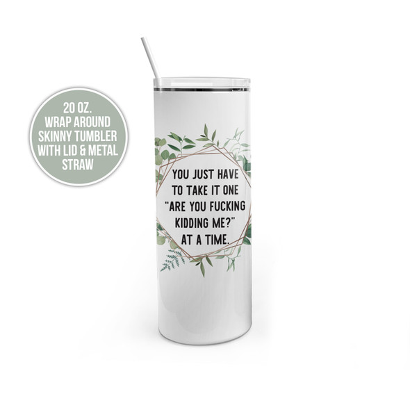 Funny snarky take it one are you f#cking kidding me at a time stainless steel 20oz skinny tumbler