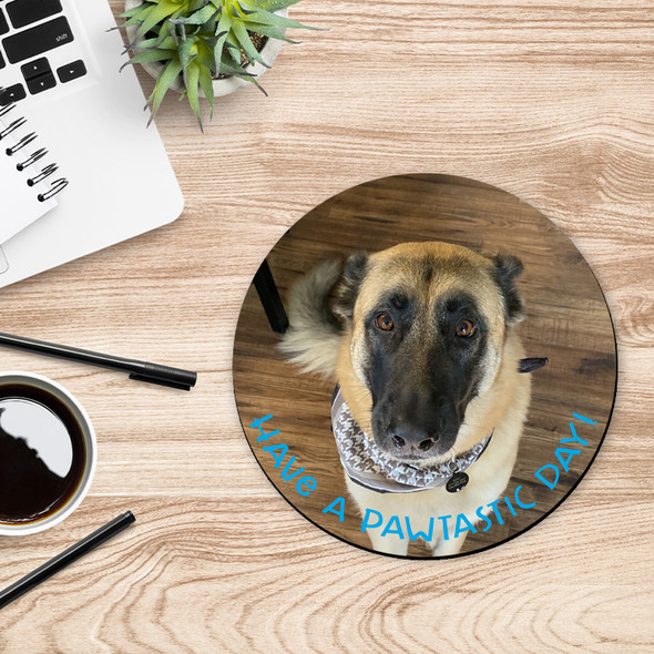 Have a pawtastic day photo round / circular mousepad