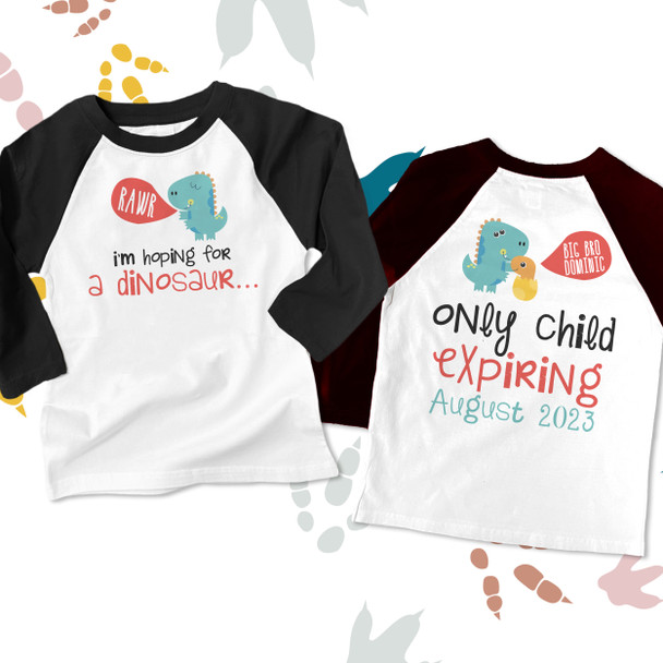 Big brother dinosaur only child expiring raglan shirt