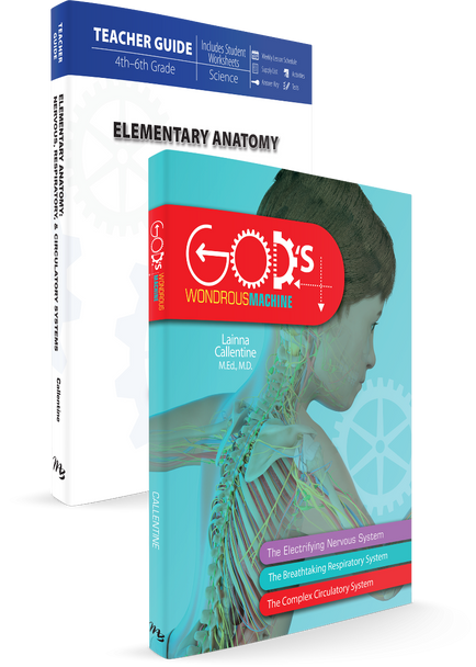 Grades 4-6 Elementary Anatomy: Nervous, Respiratory, and Circulatory Systems Set