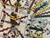 Altar Cloth: Codex Fejérváry-Mayer lam. 1/Tonalamatl de los pochtecas