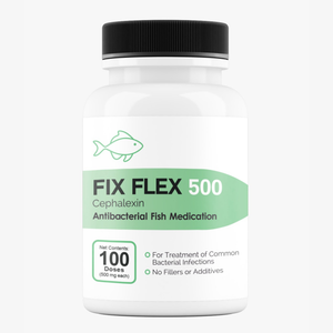 Fish Flex 500 mg 100 Capsules