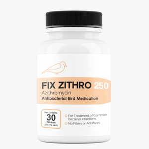 Fish Zithro 250 mg 30 Tablets