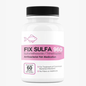Fish Sulfa 960 mg 60 Tablets