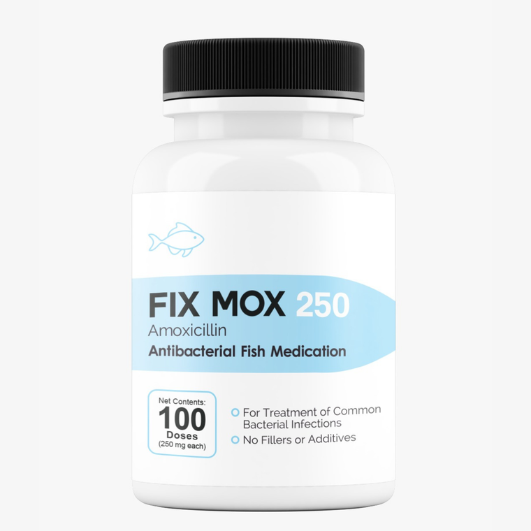 Fish Mox 250 mg 100 Capsules