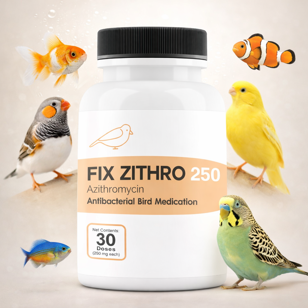 Fish Azithromycin