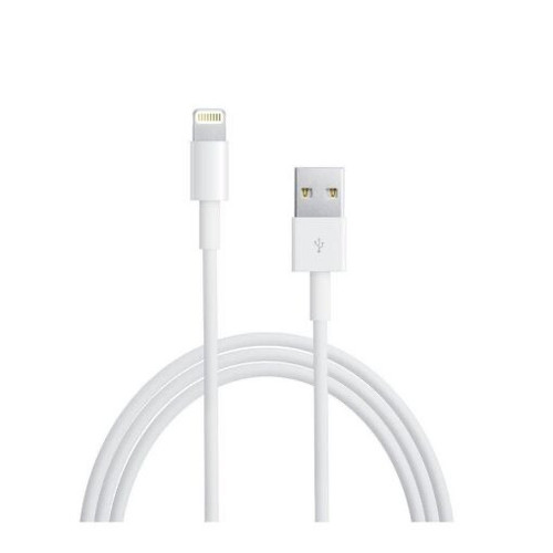 Câble USB chargeur Apple Lightning - 2 m