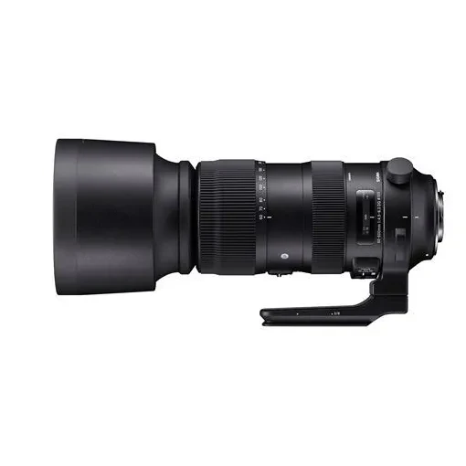 Sigma 60-600mm F4.5-6.3 DG OS HSM Sports pour Nikon