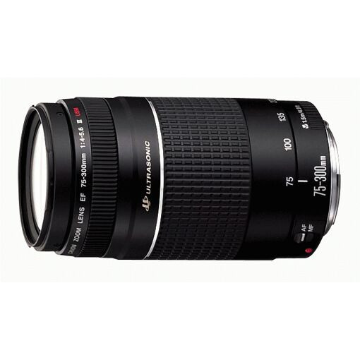 Objectif Canon EF 75-300 mm f/4.0-5.6 III USM pour EOS