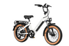 Aima | Electric Bike | Big Sur 20"