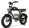 Windhorse D5 | Vintage Electric Fat Bike