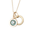 14kt Gold Gem Disc Enamel Necklace