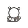 Briggs & Stratton 799586 head gasket