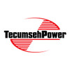 Tecumseh 34279B - Fuel Filter (Incl. 292) Also Available As Packaged Part #740003B