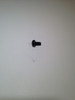 Kohler 25 086 217-S Screw,Covr To Blwr Housing