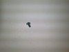 Kohler M-259005-S Screw, Phl Thd Frm M2.5X0.45X5