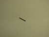 Kohler 47 411 04-S Rod