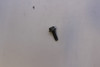 Kohler 25 086 396-S Screw, Thread Forming