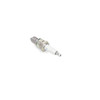 Toro Lawn-Boy 81-3250 Spark Plug  (Replaces 131-8233)