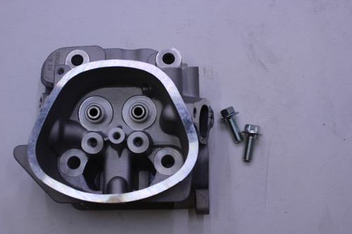 Kohler 17 318 02-S Kit, Head And Valve Train