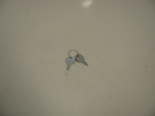 Kohler 48 340 01-S Key, Set Of 2