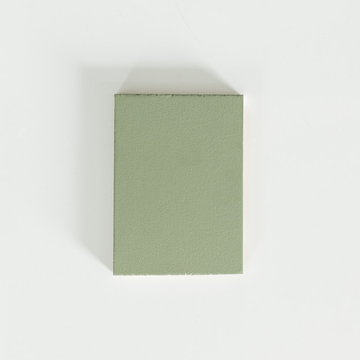 Avocado Sample