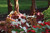 Burning Heart caladiums mixed with Allure caladiums in the landscape