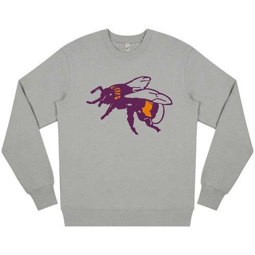 SPECIAL EDITION The Beta Band | Light Grey sweatshirts 