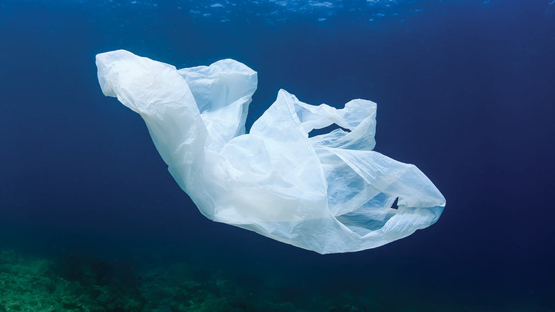 ​Choosing Biodegradable Plastics