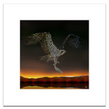 Osprey Mounted Art Print