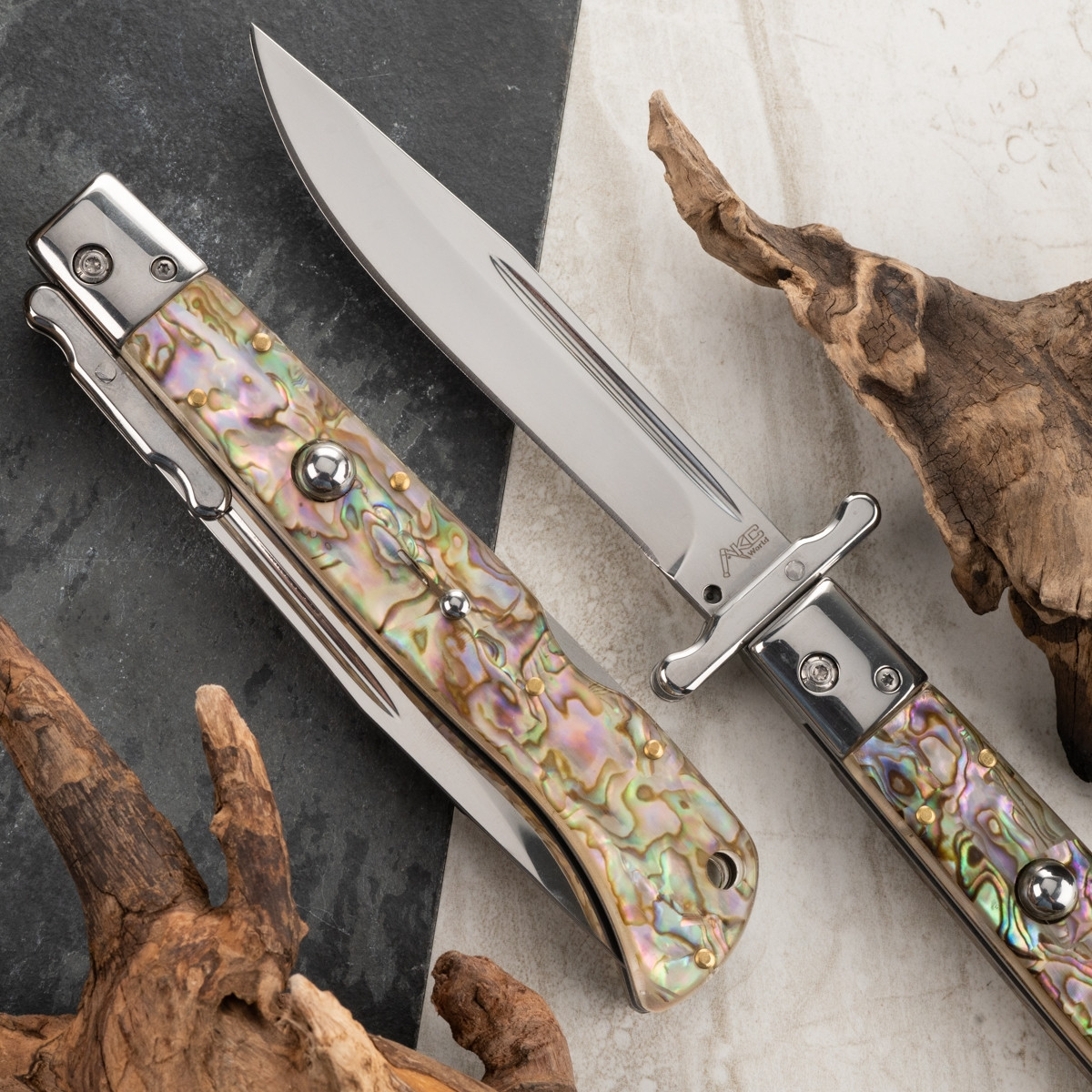 AKC-World Roma 11