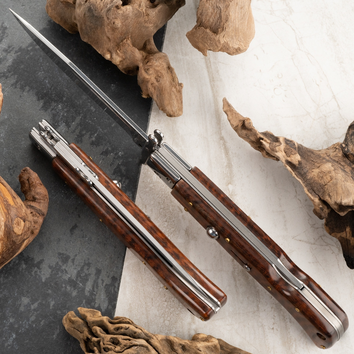 AKC-World Roma 11