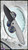 Koenig Knives Arius, Two-Tone M390 Steel Blade, Patterned Micarta/Patterned Titanium Scales