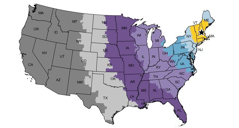 mapwithstarpng.png