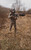 Shooter kneeling with Solo Shooting Stick at low height for ground-level shot