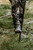 Solo Ultralite Shooting Stick laid flat showing minimal weight and slim profile