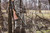 Solo Shooting Stick and height attachment accessory shown together