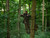 Ambush Camera Arm System