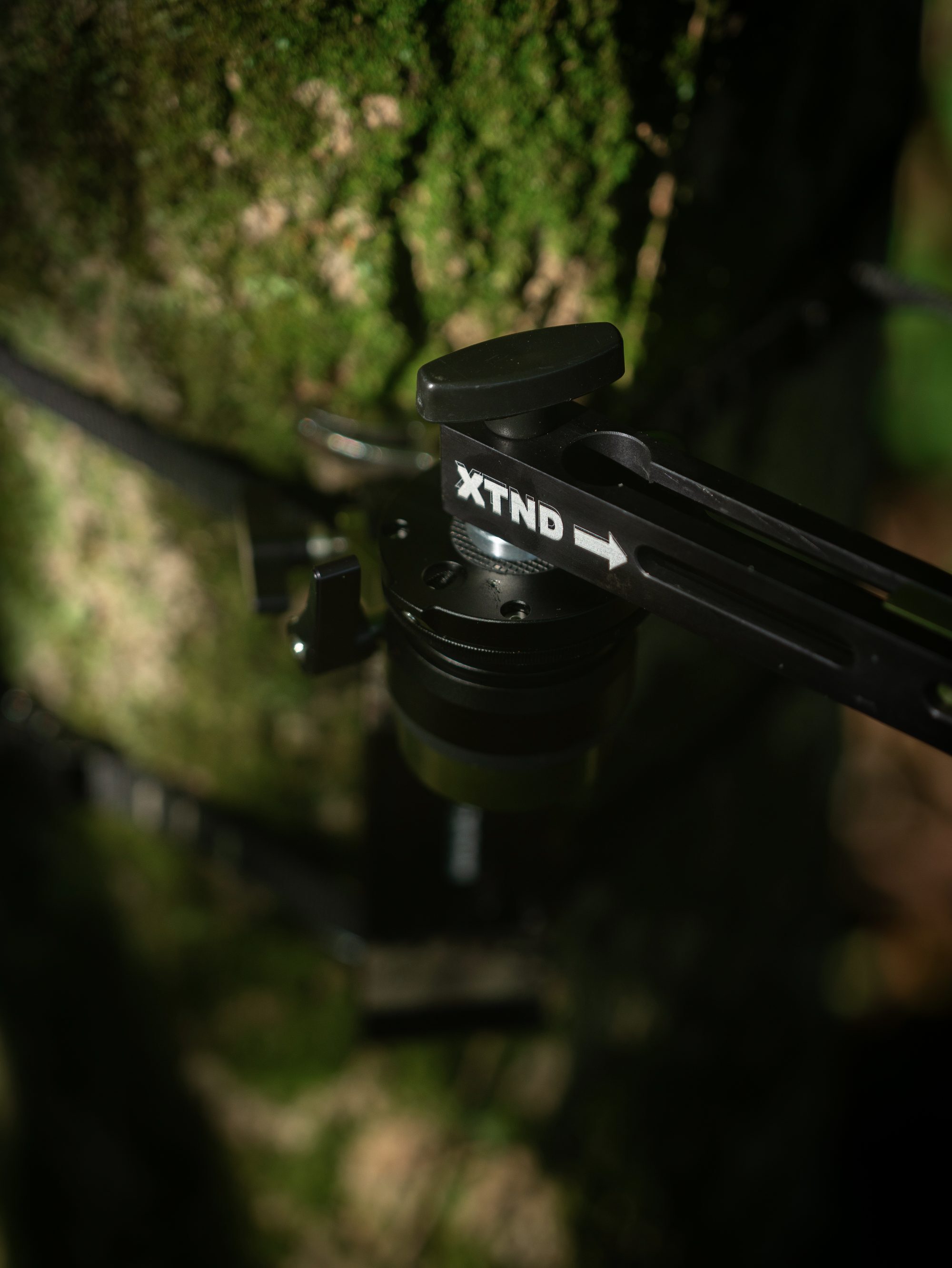 Xtend Camera Arm mounted on a mossy tree