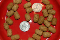 Tortoise Diet (Standard) - 2 Pounds