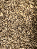 Seed Mix: African Grazer Grass Mix - 1 Pound