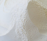 Tortoise Supply Calcium Carbonate - 13oz