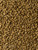 Tortoise Diet (Small Pellet) - 1 Pound
